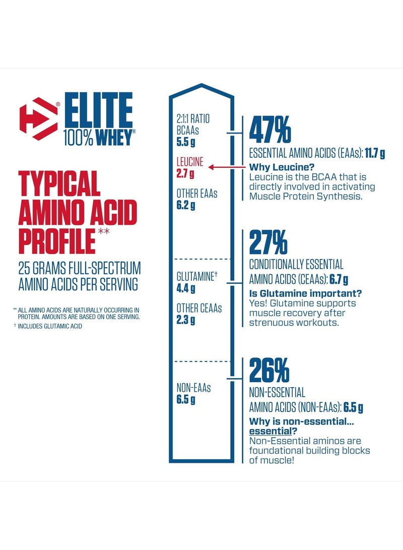 ديماتيز مسحوق بروتين مصل اللبن 100% Elite بنكهة الشوكولاتة الغنية 5 رطل - Image 2