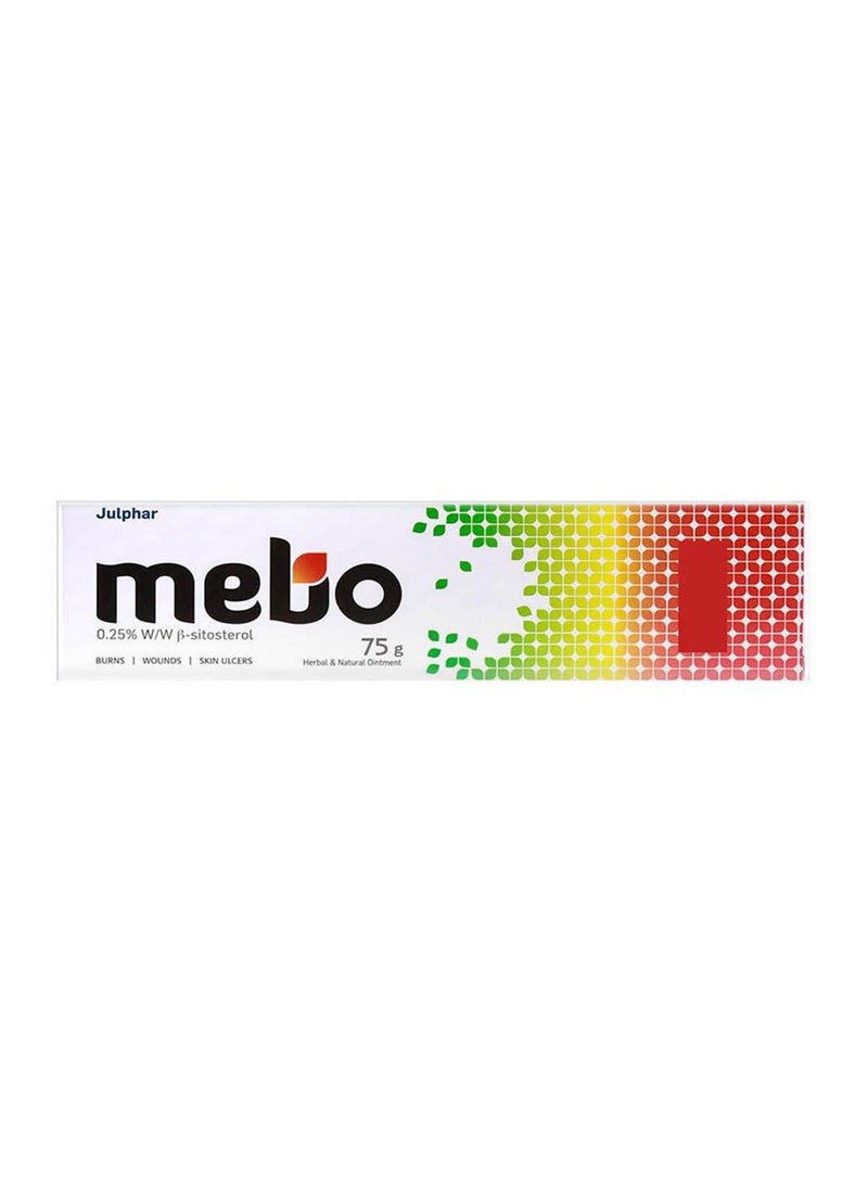 MEBO - Herbal & Natural Ointment 75 Gm - Image 1