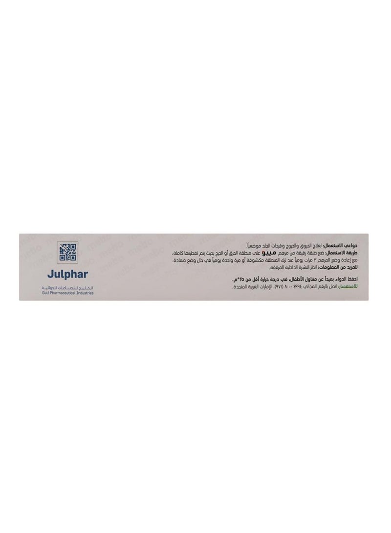 MEBO - Herbal & Natural Ointment 75 Gm - Image 1