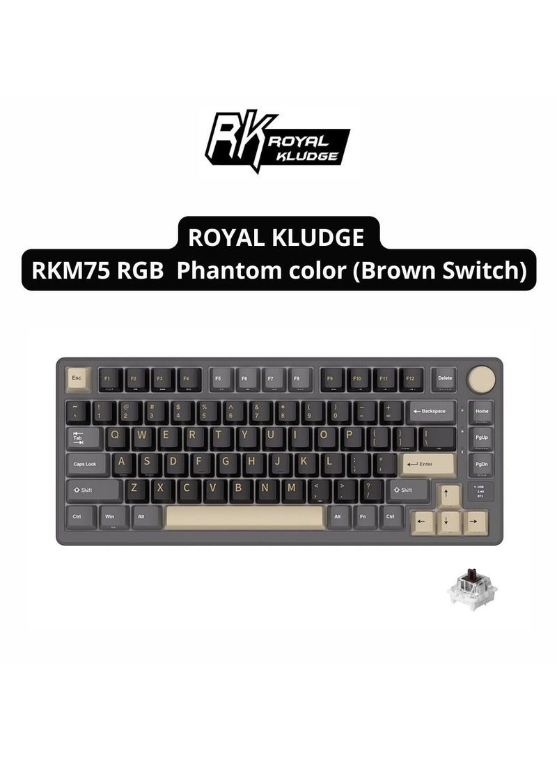 Royal Kludge Royal Kludge RKM75 - RGB Mechanical Gaming Keyboard - With Display - Foam Touch - phantom color- Bluetooth - Hot Swappable Switch - Brown Switches - Includes Dust Cover  - Image 1