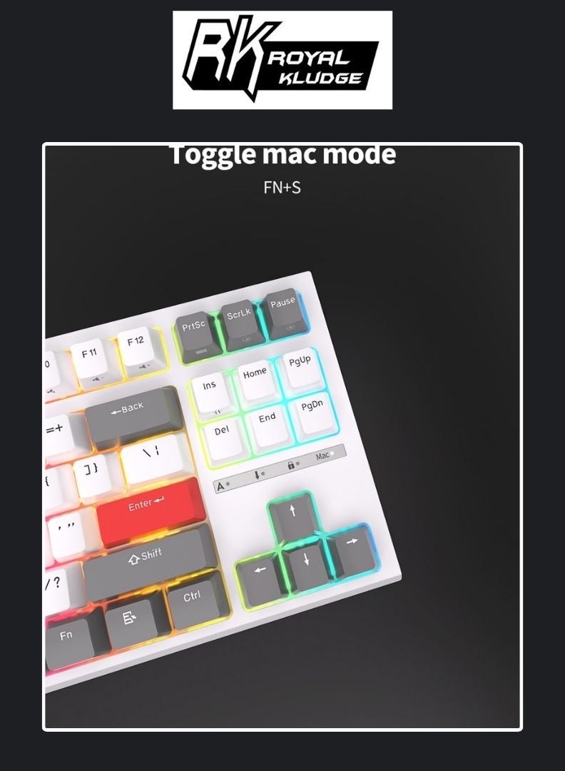 Royal Kludge Royal Kludge RK R87 Wired TKL RGB Hot-Swappable Gaming Keyboard White - Brown Switch  - Image 4