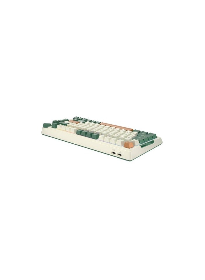 Royal Kludge - Royal Kludge RK-H81 Tri-Mode RGB 81 Keys Hot Swappable Mechanical Keyboard Time Machine (Sky Cyan Switch) - Image 1
