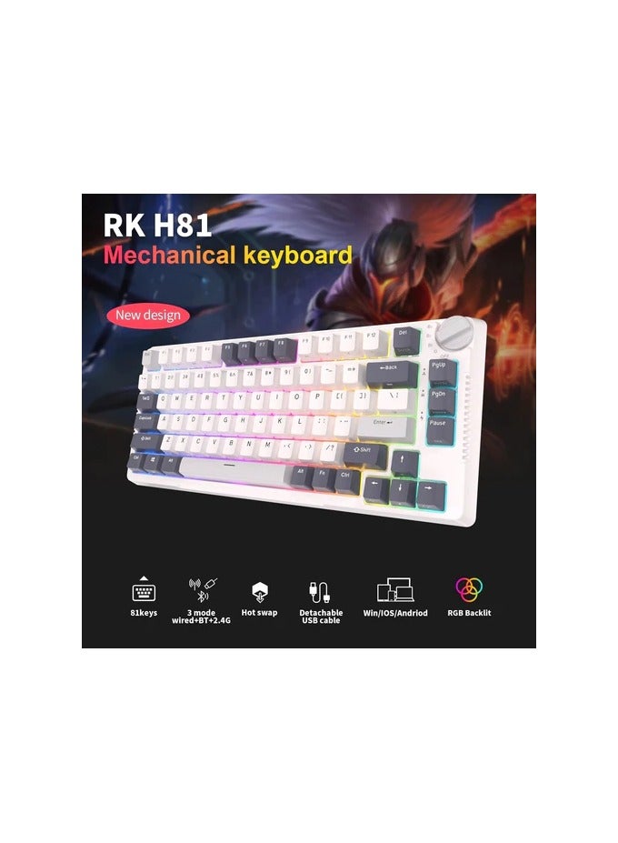 Royal Kludge RK Royal Kludge RK H81 81 Keys Tri-Mode with Knob Control RGB Wireless Mechanical Keyboard White Night  - Blue Switch - Image 2
