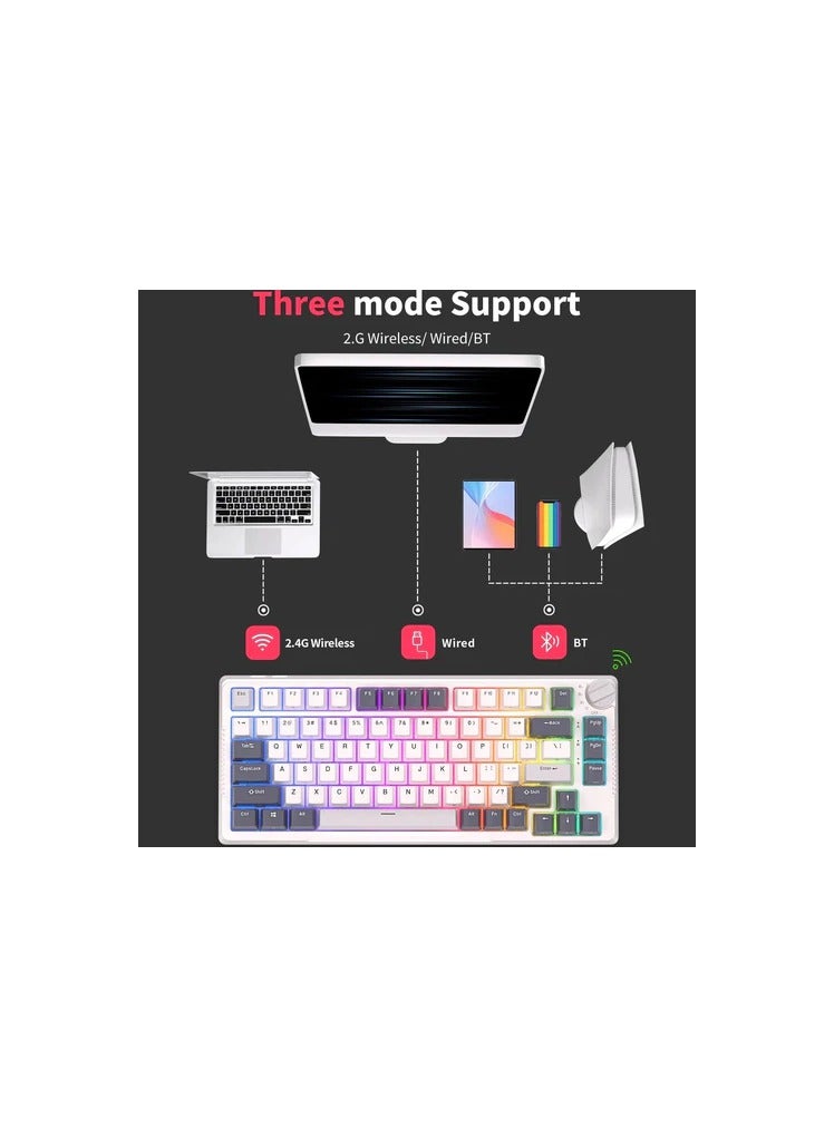 Royal Kludge RK Royal Kludge RK H81 81 Keys Tri-Mode with Knob Control RGB Wireless Mechanical Keyboard White Night  - Blue Switch - Image 4