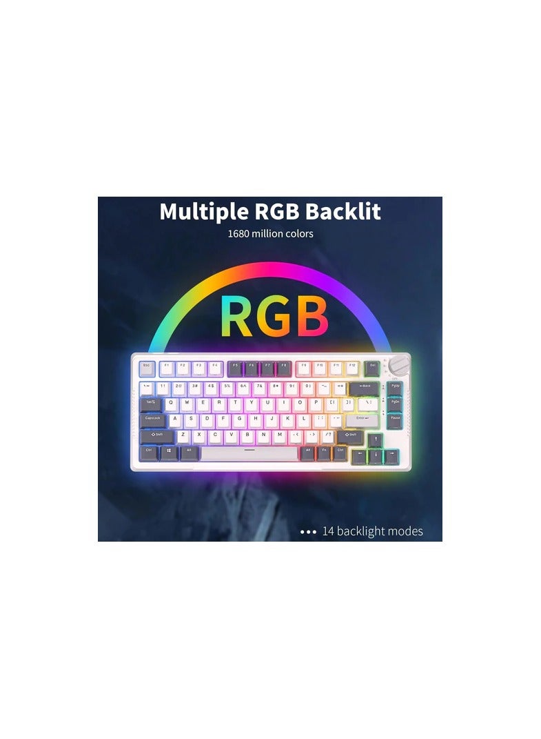 Royal Kludge RK Royal Kludge RK H81 81 Keys Tri-Mode with Knob Control RGB Wireless Mechanical Keyboard White Night  - Blue Switch - Image 5