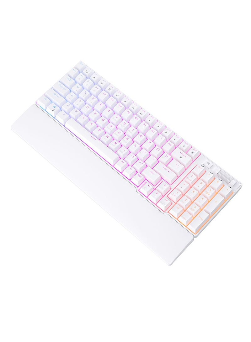 Royal Kludge - ROYAL KLUDGE RK96 Tri-Mode RGB 96 Keys Hot Swappable Mechanical Keyboard White (Blue Switch) - Image 1