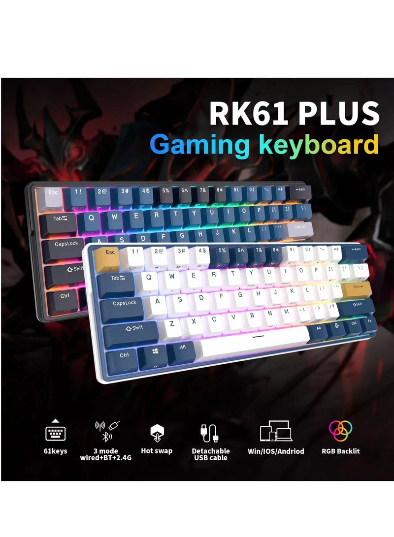Royal Kludge - Royal Kludge RK61PLUS Tri-Mode RGB 61 Keys Hot Swappable Mechanical Keyboard Black (Brown Switch) - Image 1