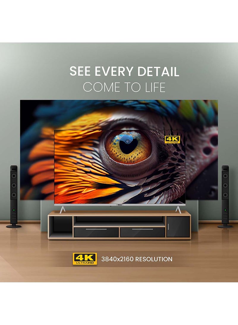 Nobel - 65 Inch Diamond 4K UHD VIDAA Smart TV iOS and Android Devices with VIDAA Voice & DTS TruBass™ Surround Sound Youtube Netflix Prime Video Bluetooth WiFi And Screen Sharing 2024 Model One Year Warranty UHD65VID Silver - Image 1