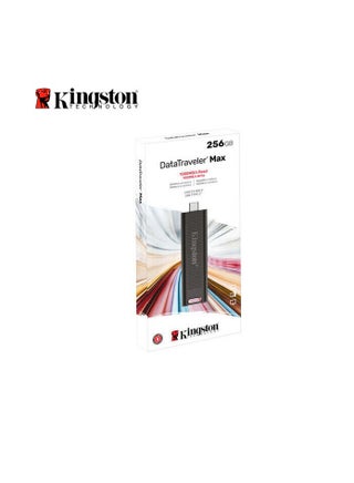 Kingston DataTraveler Max  USB-C USB 3.2 Gen 2 Flash Drive W/ up to 900MBs 256 GB - pnsku/N70040252V/45/_/1705986096/cd57bc89-4705-4989-b657-fd0889541dcc