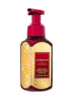 Luminous Gentle, Clean Foaming Hand Soap Clear 259ml - pnsku/N70045383V/45/_/1707534065/4c61fccb-b882-4f7d-bdc0-96d322c779c4