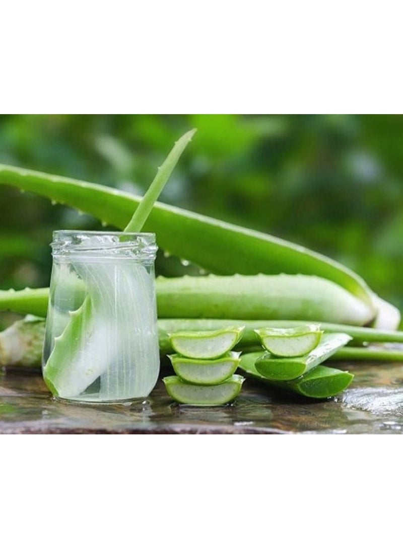 Organic Shop Calming Face Tonic For All Skin Types Avocado And Aloe 150ml - Image 2