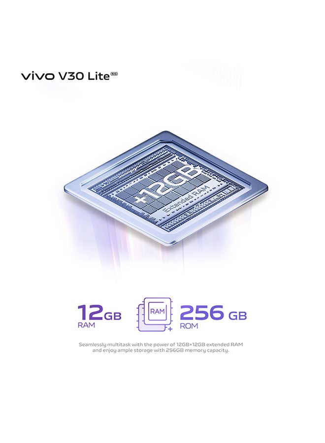 V30 Lite 5G ثنائي الشريحة باللون الأسود الكريستالي وذاكرة الوصول العشوائي (RAM) سعة 12 جيجابايت وسعة 256 جيجابايت - pnsku/N70045650V/45/_/1710509349/ef63361a-c681-4b33-8a6c-03fa6ab06a92