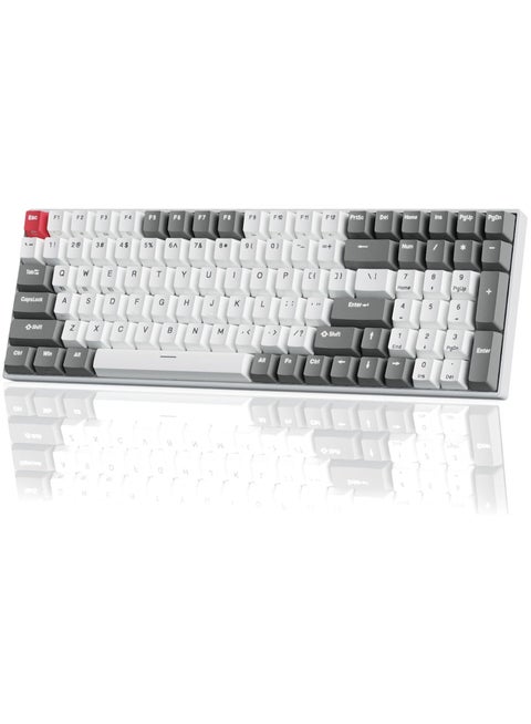 RK100 Wireless Mechanical Keyboard, Bluetooth5.1/2.4G/Wired 96% Full Size 100-Key Hot Swappable Gaming Keyboard with 3 USB Ports, Brown Switch for Mac Windows, Classic