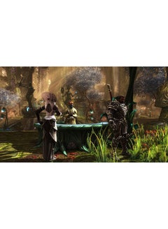 THQNORDIC Kingdoms of Amalur: Re-Reckoning - PlayStation 4 (PS4)  - Image 4