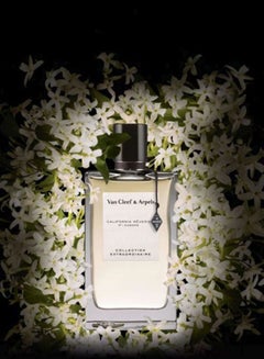 Van Cleef & Arpels Precious Oud EDP 75ml  - Image 3