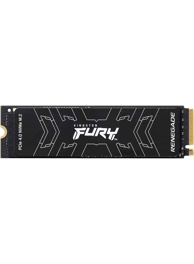 كينغستون ذاكرة FURY RENEGADE M.2 2280 PCIe 4.0 NVM سعة 500 جيجابايت  - Image 2