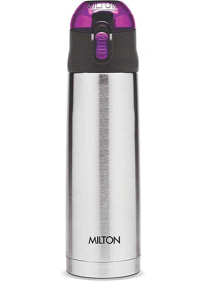 Milton Thermosteel Crown Silver 350ml  - Image 1