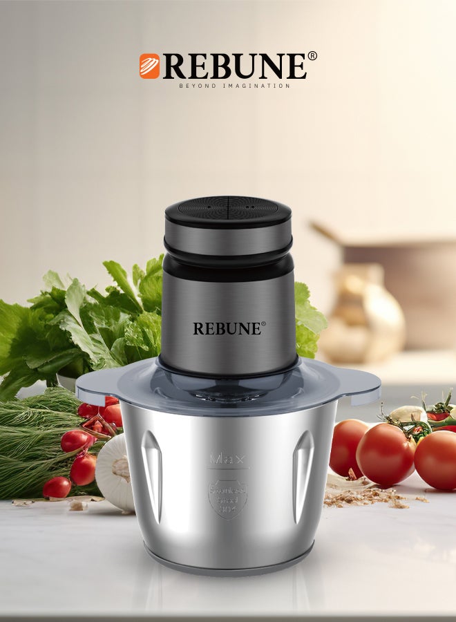REBUNE Stainless Steel Meat And Vegetable Grinder 3 L 500 W RE-2-164 Silver  - Image 3