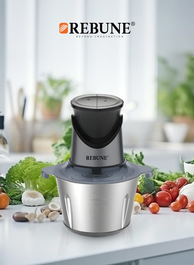 REBUNE Stainless Steel Meat And Vegetable Grinder 2 L 350 W RE-2-166 Silver  - Image 3