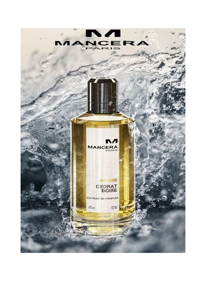 Mancera Intense Cedrat Boise EDP 120ml  - Image 3