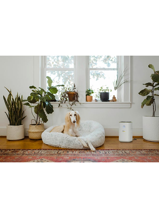 KARCHER AF 20 Air Purifier, HEPA 13 & Activated Carbon Filter, CADR 220 m³/h, For Rooms up to 40m², Auto Mode 40 L 24 W 10248230 White  - Image 5