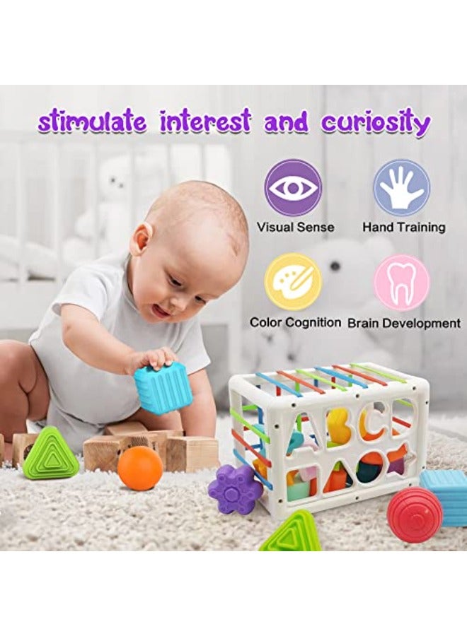 Shape Sorting Activity Toy