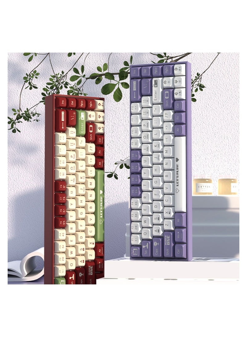 Ak680 Wired USB Mechanical Keyboard Colourful Backlit Hot-Swappable Brown Switches 68 Key for PC Laptop Red/White