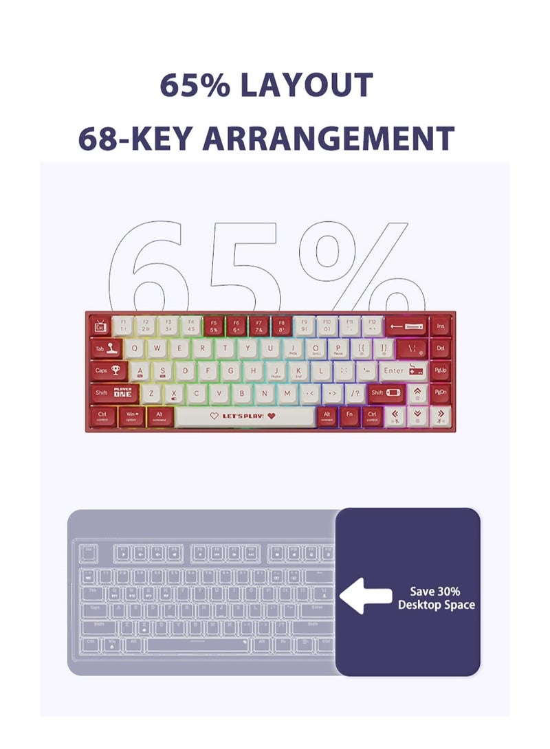Ak680 Wired USB Mechanical Keyboard Colourful Backlit Hot-Swappable Brown Switches 68 Key for PC Laptop Red/White