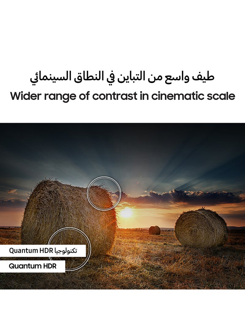 Samsung - 75 Inch QLED 4K Upscaling Smart TV | Big TV | QE1D | 100% Color Volume with Quantum Dot | 50HZ | Tizen OS | Quantum HDR | (2024) QA75QE1DAUXZN Black - Image 1