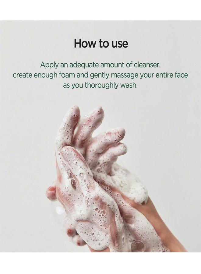 Anua - Heartleaf Quercetinol Pore Deep Cleansing Foam White 150ml - Image 1