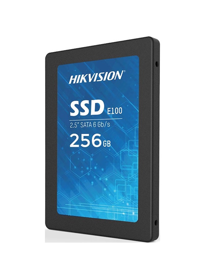 HIKVISION - E100 Series Consumer 256GB Solid State Drive (SSD) | HS-SSD-E100/256G - Image 1