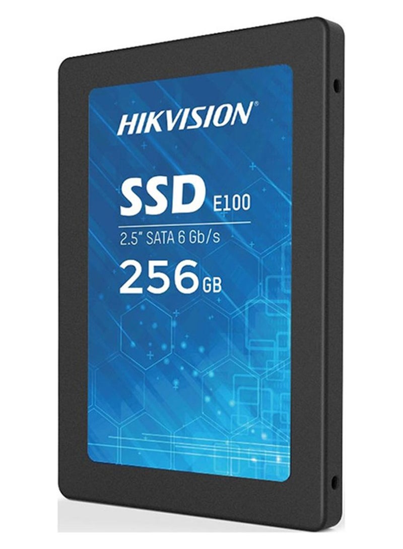 هيك فيجن محرك أقراص الحالة الصلبة (SSD) للمستهلكين من سلسلة E100 بسعة 256 جيجابايت | HS-SSD-E100/256G - Image 1