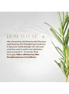 MIELLE Rosemary Mint Strengthening Conditioner Infused With Biotin Helps Strengthen Weak And Brittle Hair 12 Oz 355ml  - Image 5