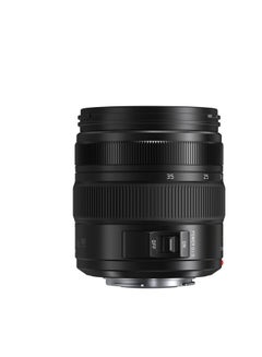 Panasonic Leica DG Vario-Elmarit 12-35mm f/2.8 ASPH. Power O.I.S. Lens (Micro Four Thirds)  - Image 3