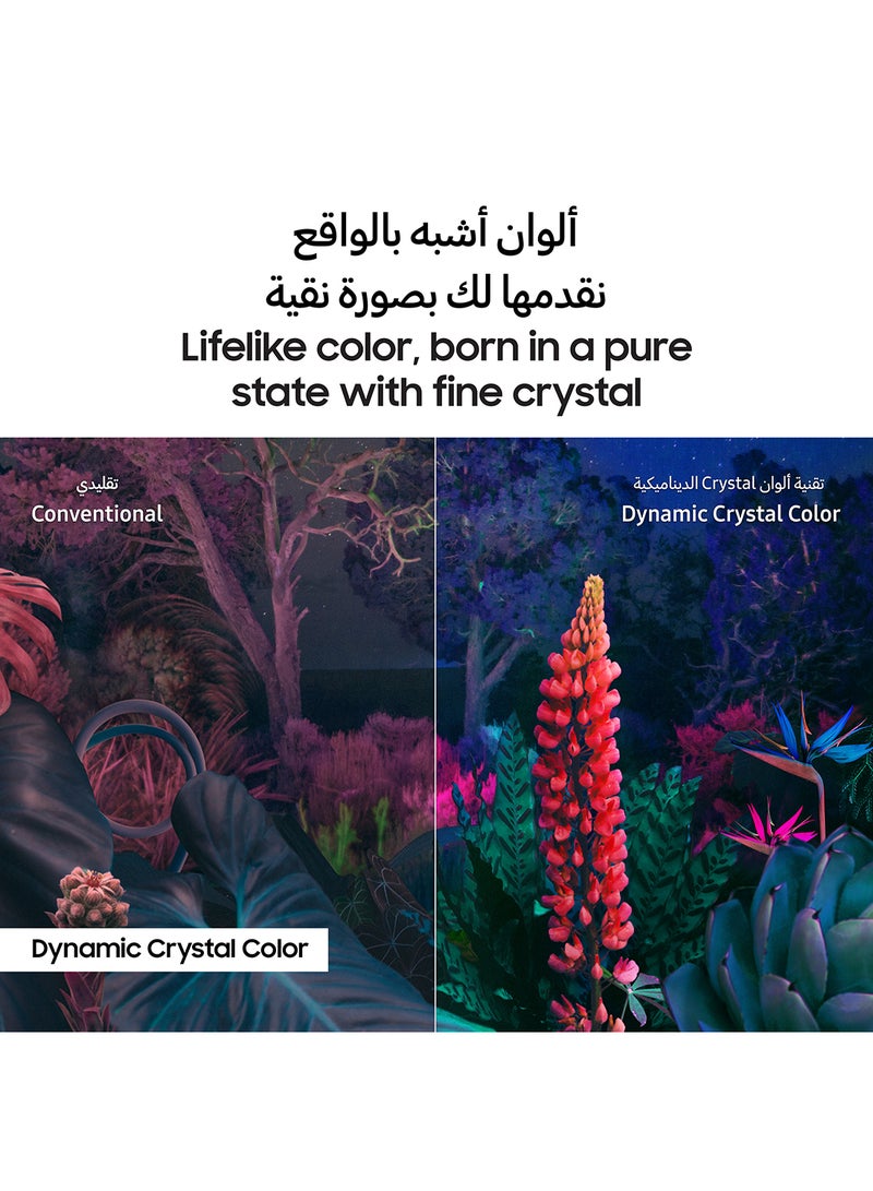 سامسونج تلفزيون ذكي، Crystal UHD 4K، CU8000، 85 بوصة، 2023، معالج كريستال 4K، Airslim، لون كريستالي ديناميكي + مكبر صوت 2.0CH بالإضافة إلى بلوتوث، USB، راديو Fm مع 600 وات PMPO - Image 5