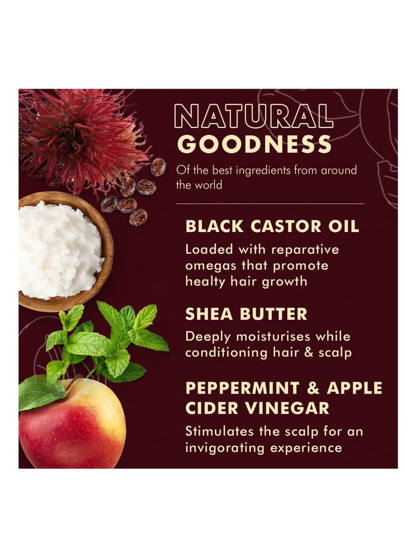 شيامويستر بلسم زيت الخروع الأسود الجامايكي للشعر التالف نقي 100% لتنعيم وفك التشابك 11.5 أونصة - Image 3