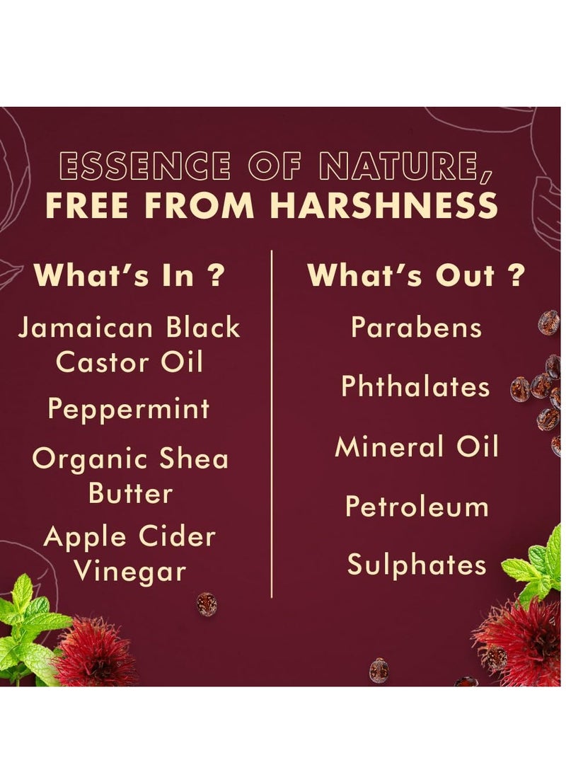 شيامويستر بلسم زيت الخروع الأسود الجامايكي للشعر التالف نقي 100% لتنعيم وفك التشابك 11.5 أونصة - Image 5