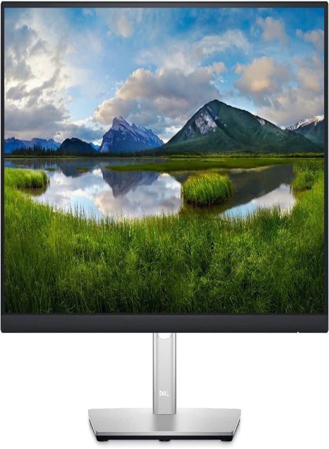 DELL 22 Monitor - P2222H - Full HD 1080p, IPS Technology Black 