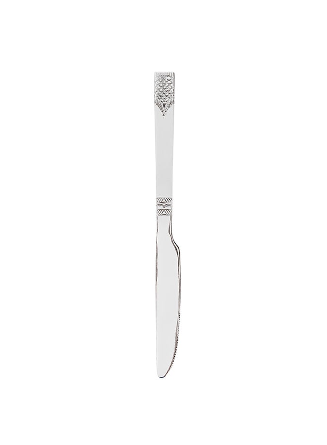 Royalford - Royalford 6pcs Stainless Steel Table Knife RF11947 22 CM, Stylish, Non-Magnetic, and Light-Weight 100% Food-Grade, Suitable for Dining Table, Home and Restaurant Multicolor - Image 1