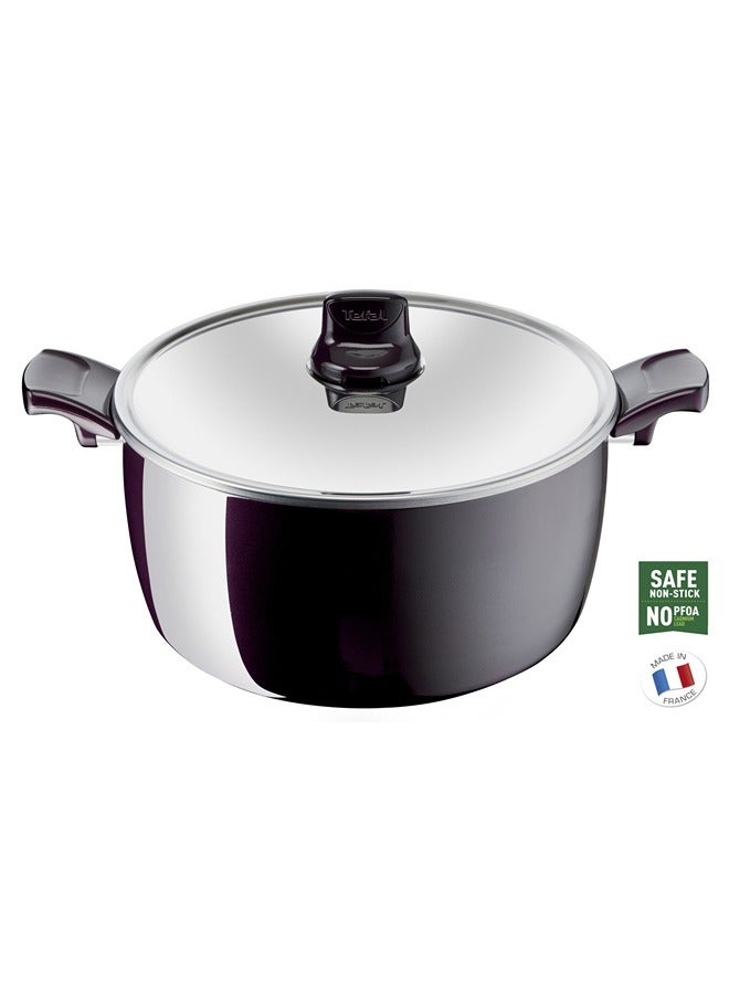TEFAL قدر الطبخ | Resist Intense 22 سم طاجن بغطاء زجاجي | طلاء غير لاصق | Thermo-Signal™ | غطاء زجاجي | طبخ صحي | أواني طبخ آمنة | صنع في فرنسا | ضمان لمدة سنتين | D5225483 30سم