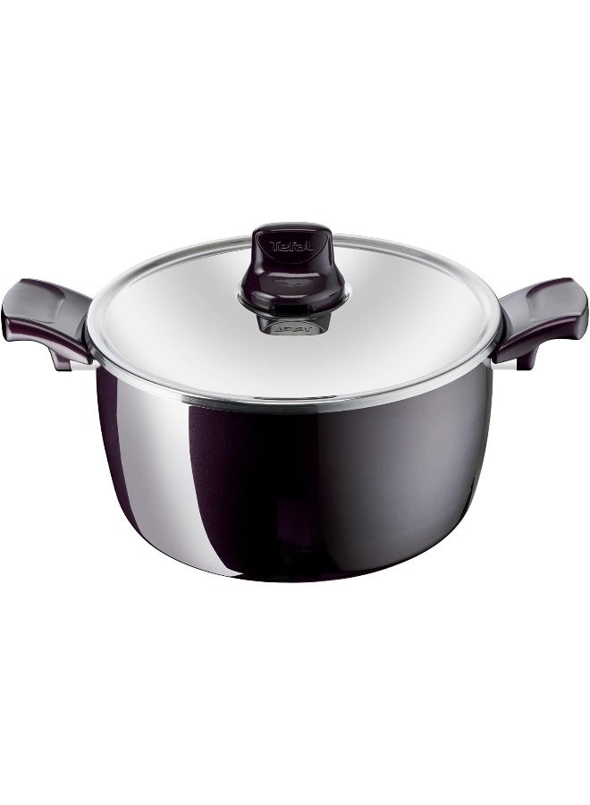 تيفال TEFAL قدر الطبخ | Resist Intense 22 سم طاجن بغطاء زجاجي | طلاء غير لاصق | Thermo-Signal™ | غطاء زجاجي | طبخ صحي | أواني طبخ آمنة | صنع في فرنسا | ضمان لمدة سنتين | D5225483 30سم - Image 1