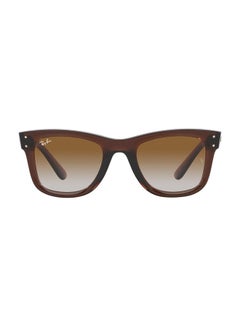 Full Rim Square Sunglasses R0502S, 53, 6709, CB