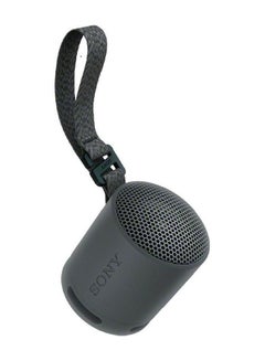 Sony Portable Wireless Speaker SRS-XB100/BX Black  - Image 1