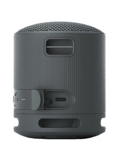 Sony Portable Wireless Speaker SRS-XB100/BX Black  - Image 5