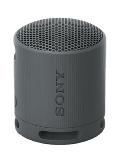 Sony Portable Wireless Speaker SRS-XB100/BX Black  - Image 3