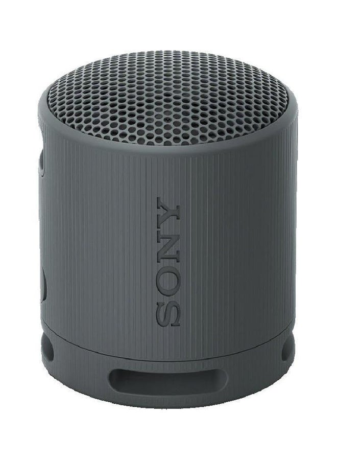 Sony - Portable Wireless Speaker SRS-XB100/BX Black - Image 1