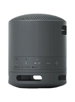 Sony Portable Wireless Speaker SRS-XB100/BX Black  - Image 4