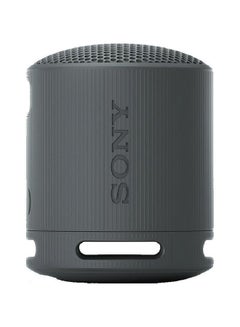 Sony Portable Wireless Speaker SRS-XB100/BX Black  - Image 2