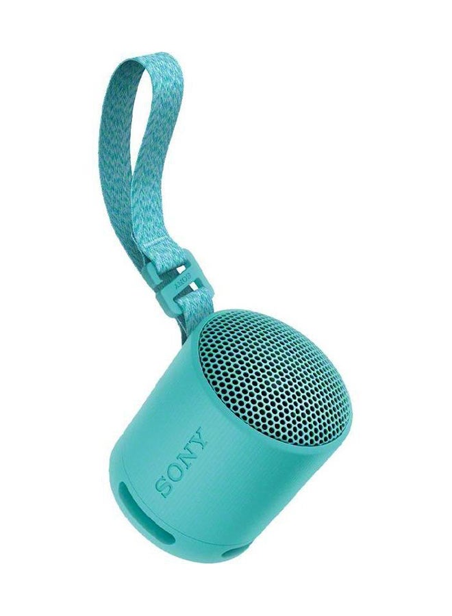 Sony Portable Wireless Speaker SRS-XB100/LX Black  - Image 1