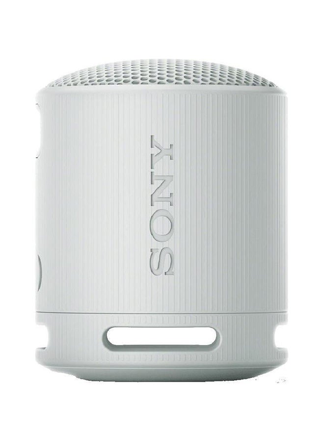 X Portable Wireless Speaker Light Grey - pnsku/N70080831V/45/_/1717507003/75634138-5d92-4217-b737-ef16045b9a41